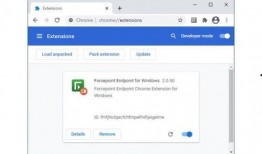 最新恶意软件爆料,新型病毒威胁网络安全
